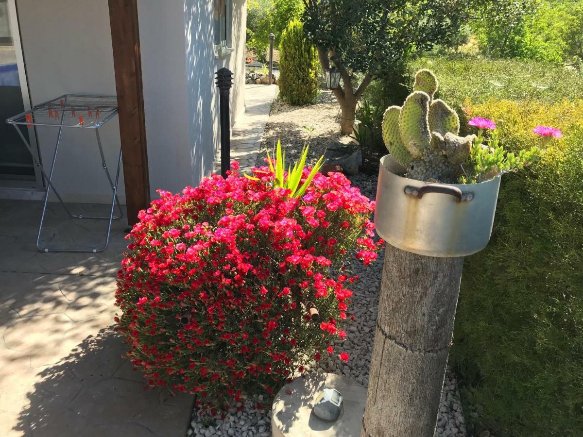 Sofros Valley Hills Chalet Agios Mamas Dış mekan fotoğraf